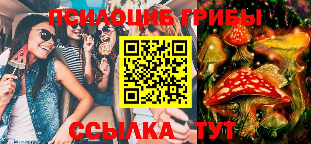 Псилоцибиновые грибы ЛСД  Вход с VPN  Карабулак  Псилоцибиновые грибы Psilocybe 
