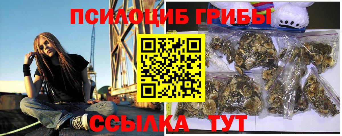 Галлюциногенные грибы GOLDEN TEACHER Карабулак
